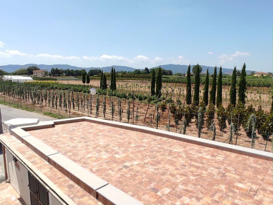 Affittacamere Villa Mary Pistoia Esterno foto