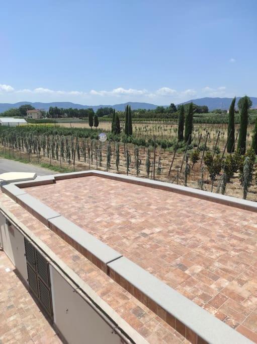 Affittacamere Villa Mary Pistoia Esterno foto